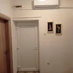 Mimi שיבניק